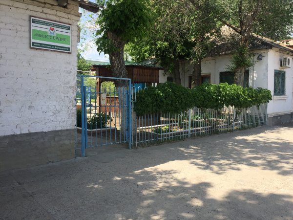 АНО СОН «Милосердие»